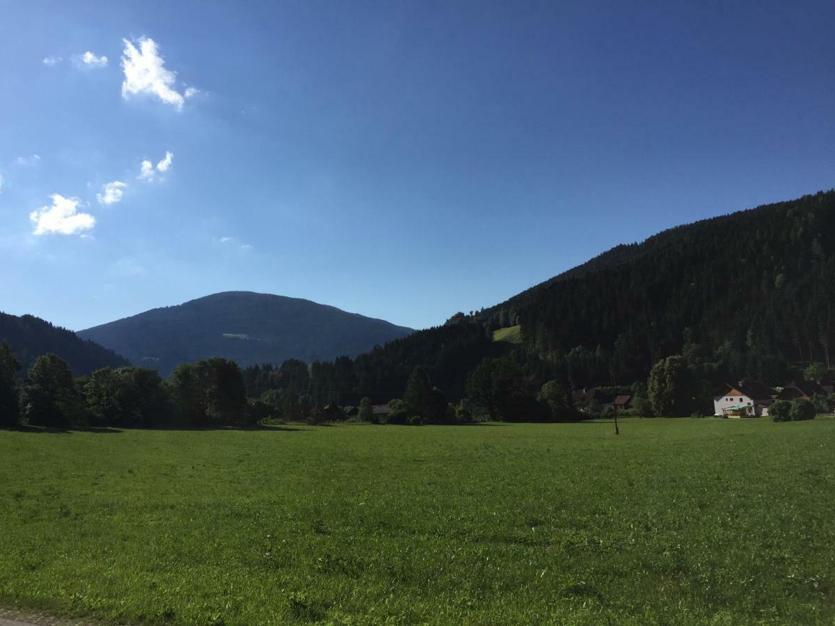 Ferienwohnung Trattnig Gassen  Bagian luar foto